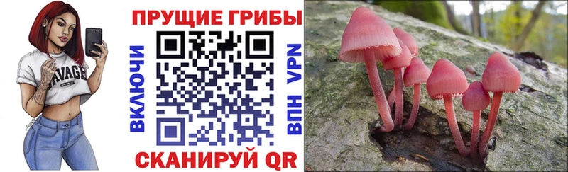 Псилоцибиновые грибы мухоморы  shop Telegram  Вольск 